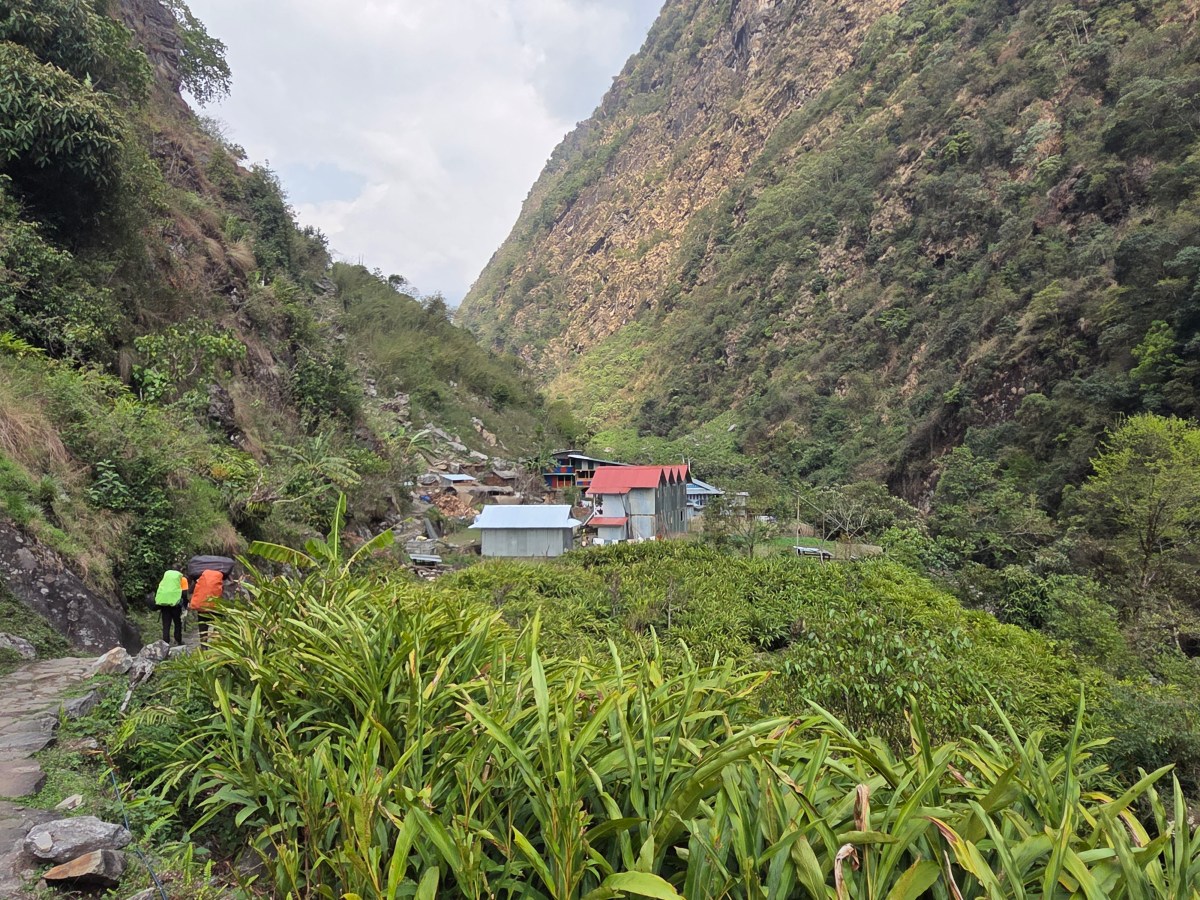 Kangchenjunga north base camp –&nbsp;Sekathum